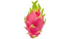 a red and green dragon fruit